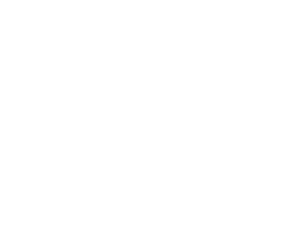 Charles Alcantara 1369